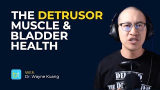 The Detrusor Muscle & Bladder Health | BackTable Urology Clips