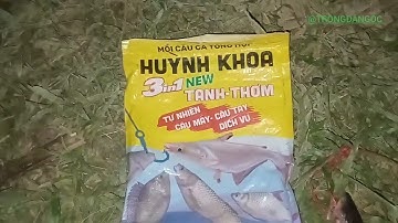 CÂU CÁ BAN ĐÊM SÔNG TỰ NHIÊN DÍNH ĐƯỢC SÁU CON CÁ TRA 