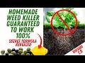Natural weed killer that works better than round up  save money  24 hour results  updated