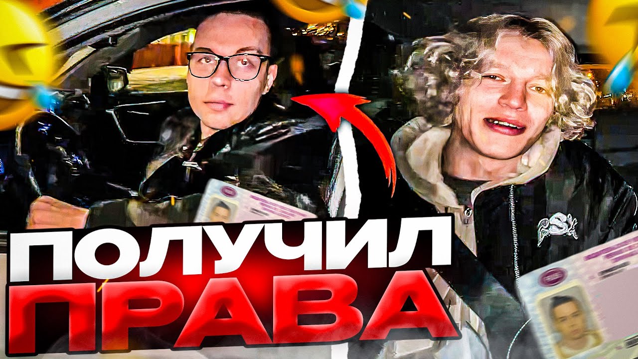 Горилла в машине