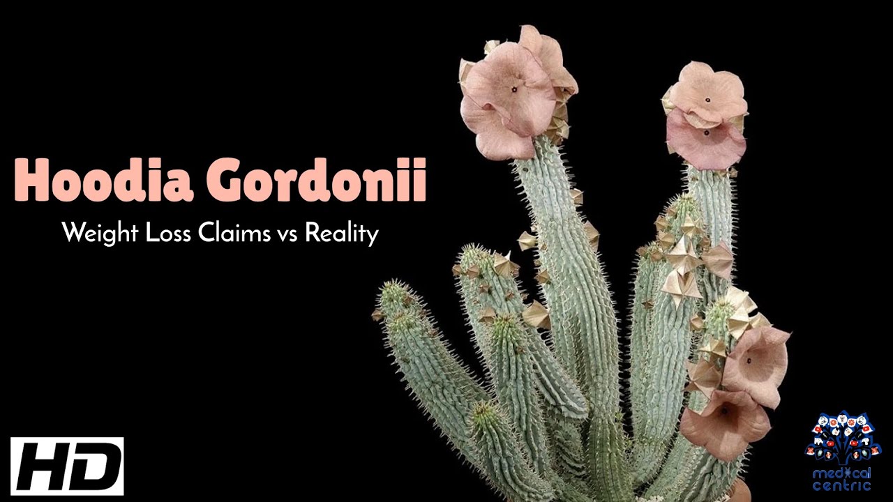 Picture of Hoodia Gordonii Weight Loss Claims vs Reality: A Closer Look at the ...