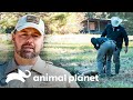 Mujer denuncia que le disparan a ciervos en su patio | Guardianes de Texas | Animal Planet