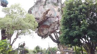 The Floating Mountains of Mo'Ara | Pandora The World of Avatar | Disney's Animal Kingdom