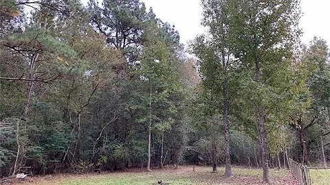 Camp Coyote Road