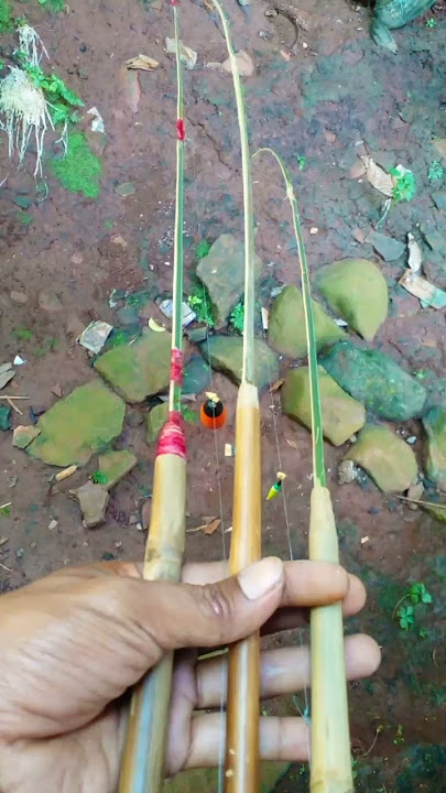 SIMPLE FISHING ROD FOR WADER FISH MADE FROM BAMBOO #fishing #shorts