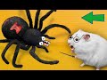 🕷 Spider - Hamster Maze with Traps ☠️[OBSTACLE COURSE]