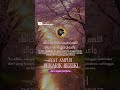 KEAJAIBAN..!! DENGERIN DZIKIR INI, SIAP-SIAP REZEKI DATANG BERTUBI TUBI | HIDUP BERKAH &amp; MAKMUR