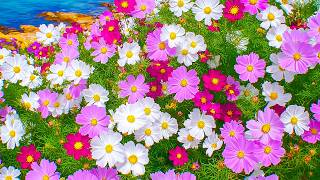 Spring Renewal Relaxing Music 🌿 Music Therapy to Soothe Anxiety and Restore Inner Peace