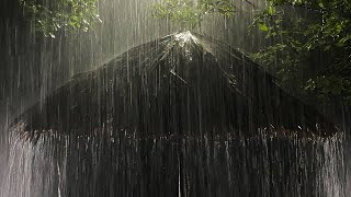 Sleep Instantly in Palm Tent Roof with Dense Heavy Rain \& Amazing Thunder in Foggy Forest at Night