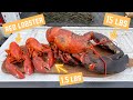Do 15lb lobsters taste bad? ft. @NickDiGiovanni