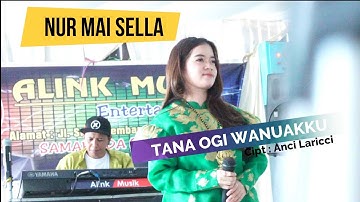 Nur Mai Sella || Lagu Bugis Paling Nyess 2022 | Alink Musik