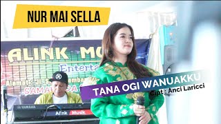 Nur Mai Sella || Lagu Bugis Paling Nyess 2022 | Alink Musik