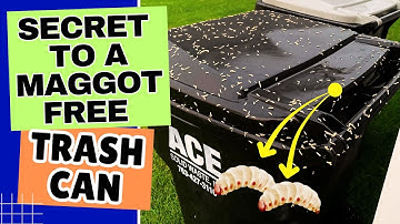 How to Get Rid of Maggots in Your Trash Can FAST (PROVEN Methods)