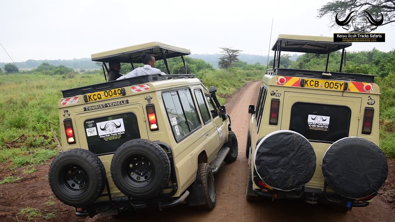 Game Drive in Nairobi National Park. YouTube