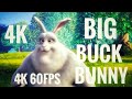 Big Buck Bunny 60fps 4K