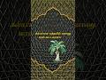 ✨நம்மில் பலருக்குத் தெரியாத இஸ்லாமிய உண்மைகள் Part 1 |@TawakkulThoughts #quran#islamicshorts#shorts