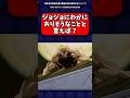ジョジョにわかにありそうなことと言えば？【ジョジョの奇妙な冒険】#jojo #ジョジョの奇妙な冒険反応集