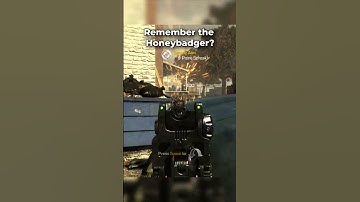 Remember the Honeybadger from Cod Ghosts? #callofduty
