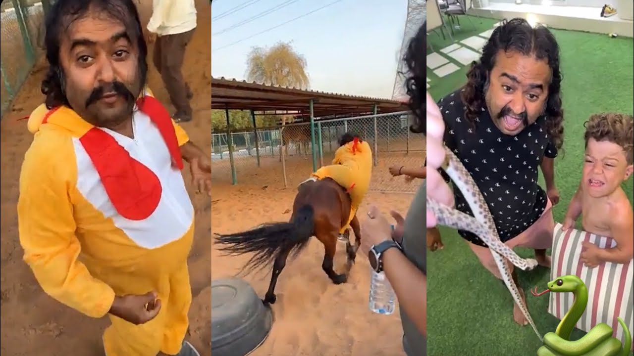 مايد الانصاري [7] اول يوم في مزرعة الحيوانات مع الأسود و الثعابين 🦁🐅🐊🐍