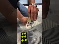 Glossy Clear Grid Rainbow Laser Wrap Training Film