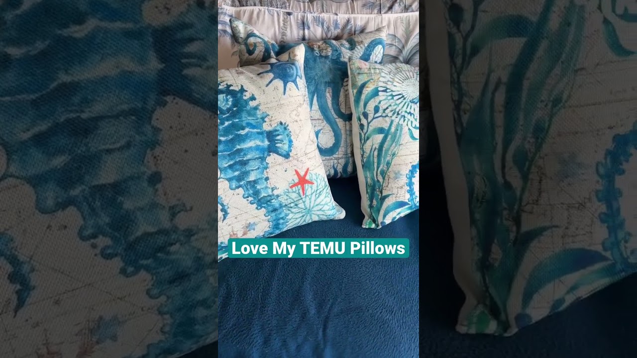 Love My TEMU Pillows~Check Out My Full Video on my First TEMU Order 