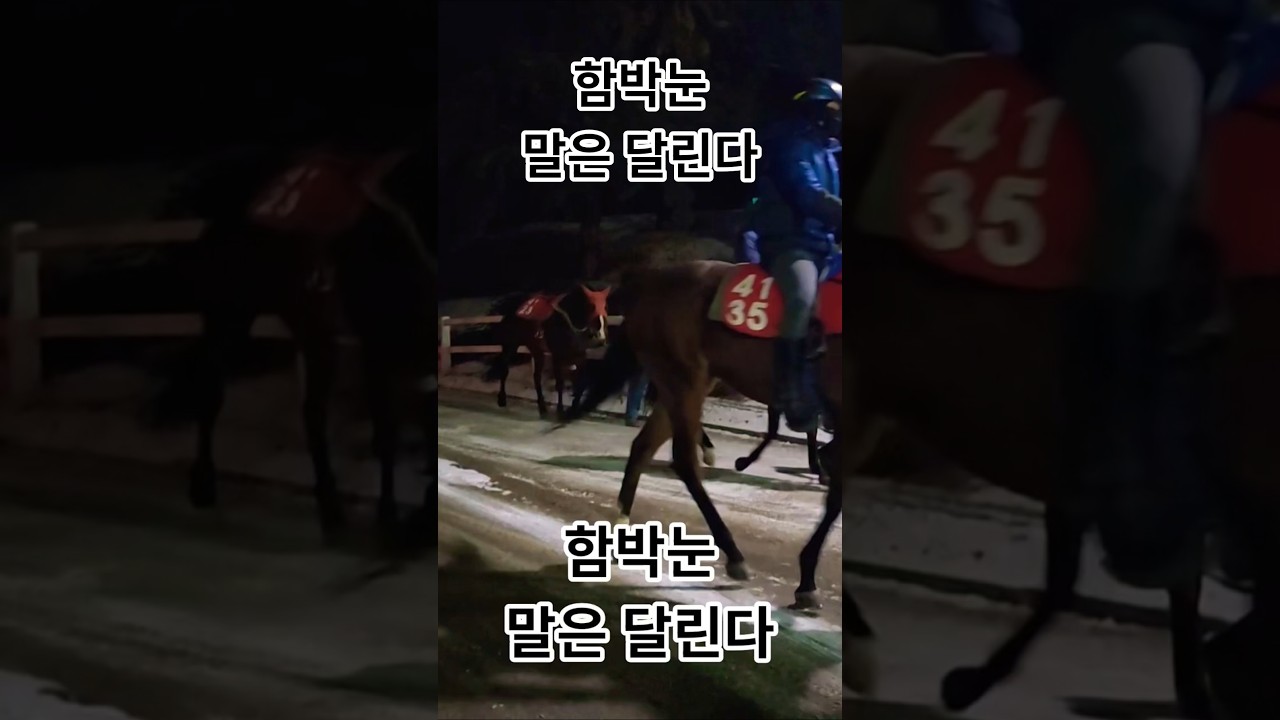 함박눈 말은 달린다