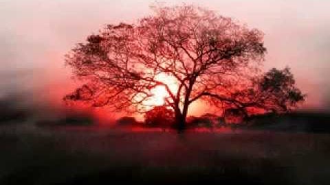 Quranالقران الكريم للقارئ وليد الدليمي سورة الاسراء