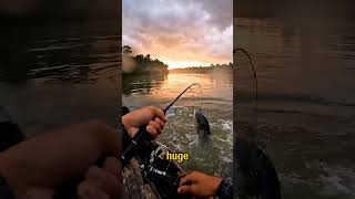 POV: A Monster Fish Just Attacked My Bait #fishing #amazon #strike #fish