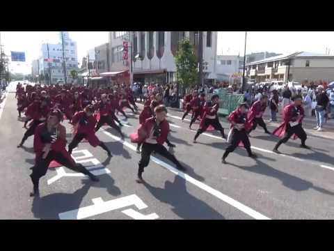 香川大学よさこい連”風華” 銭形よさこい2017 中洲はれはれ会場