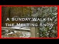 A Sunday Walk In The Melting Snow