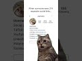 Upgrade Your Instagram Bio