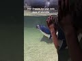 Little Blue Penguin zoomies #shorts #aquarium #penguin