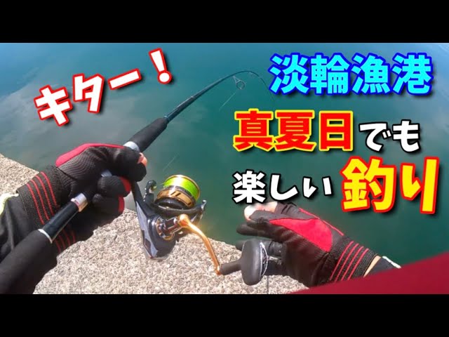 淡輪漁港 真夏日でも楽しい釣り Youtube 淡輪漁港 真夏日でも楽しい釣り Youtube