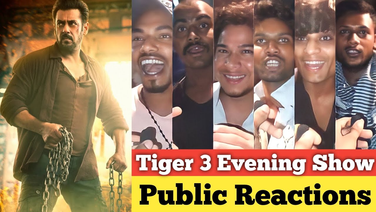 Tiger 3 ROARING BLOCKBUSTER, Tiger 3 Reviews, Tiger 3 Public Reviews, Tiger 3 Public Reactions