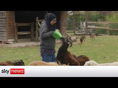 Scheme launched to increase ethnic diversity in farming.