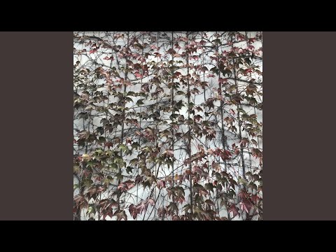 穏やかなピアノと幻想的シンセのアンビエント