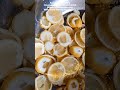 Automatic lemon chips slicer machine