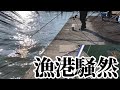 想定外の大物に港内がざわつく
