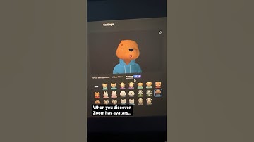 Revamp Your Zoom Experience with Avatars