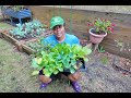 Why I Love Gardening?! Worth Millions!