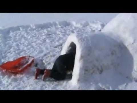 HOW TO BUILD AN IGLOO