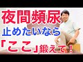 【夜間頻尿を止める】悩める頻尿を解決したいならふくらはぎ鍛えてください！