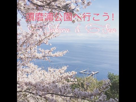 2016年4月2日の須磨浦公園です☆桜 海 山 明石海峡大橋 神戸 大阪湾 瀬戸内海