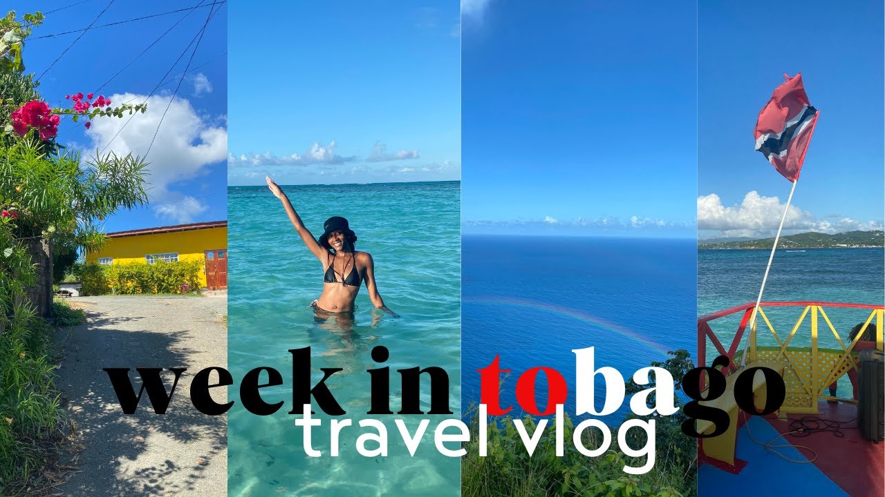 Tobago Travel Vlog 2023 (Lots of Beach Hopping!)