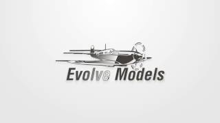 Celebrity Evolve Models Wealth