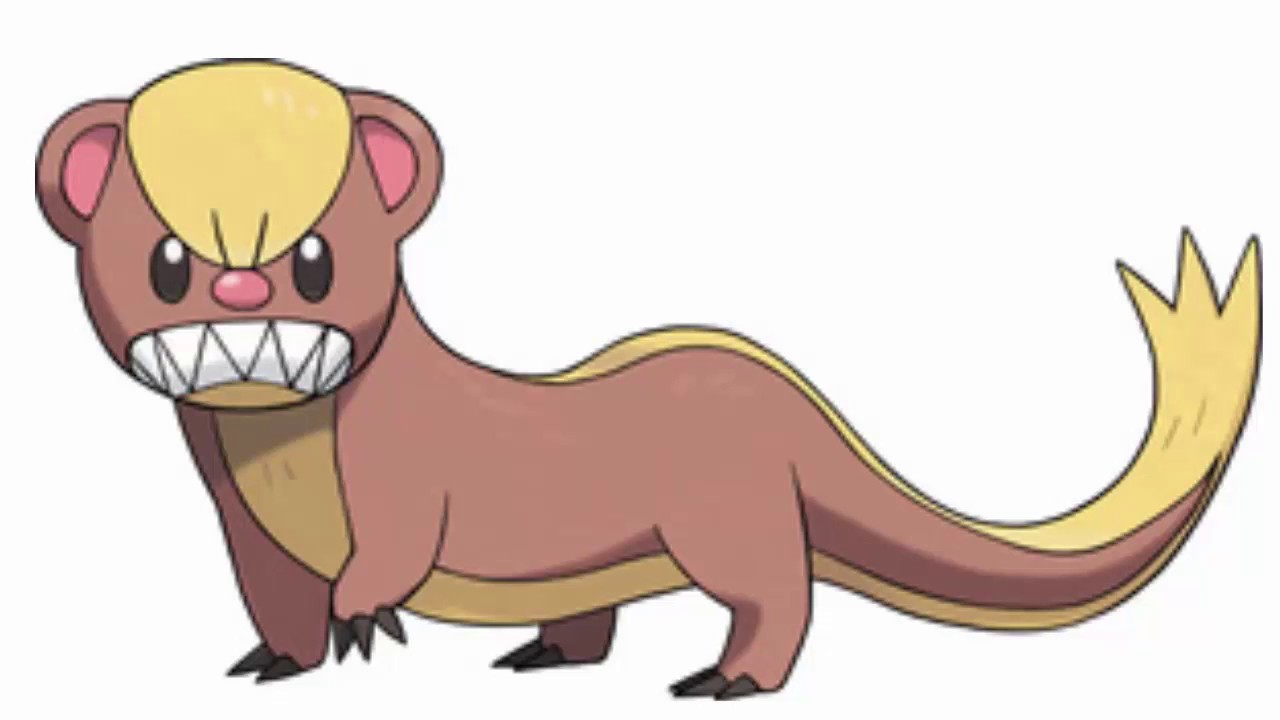 Pokemon Cries - Yungoos | Gumshoos - YouTube