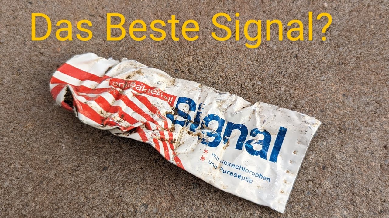 Sondeln im Wald -  Das Beste Signal? 30 Minuten uncut Vol.1