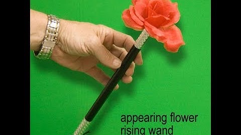 APPEARING FLOWER WAND/ RISING WAND - DAYTONA MAGIC