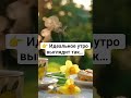 Идеальное утро ☕️ + джаз = настроение 🔥