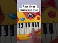 Past Lives phiên bản mèo #pastlives #sapientdream #catpiano